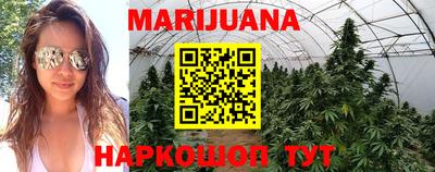 ALPHA PVP Малгобек